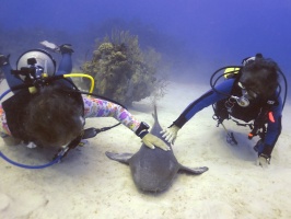 131 Petting Mrs. Fin IMG 6117